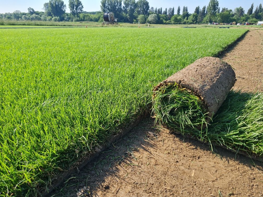 Gazon rulou sport sistem de irigație