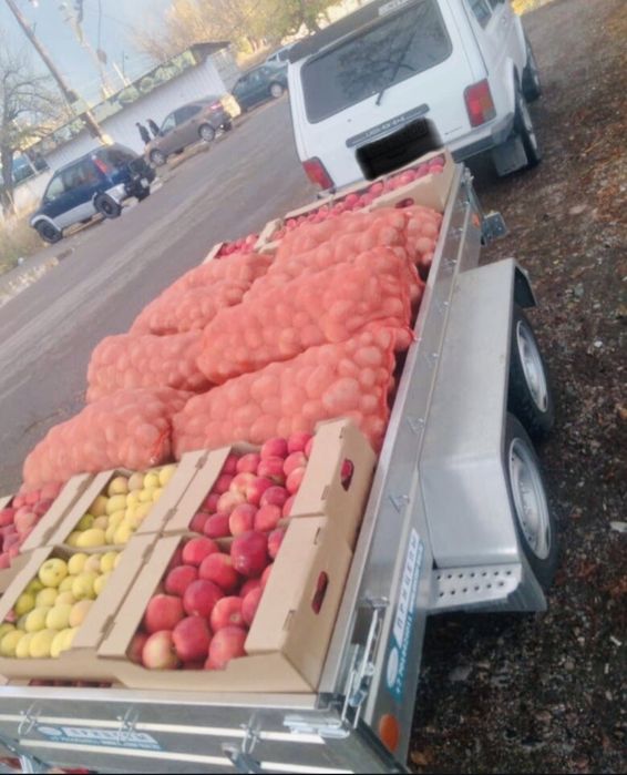 Прицепы легковые