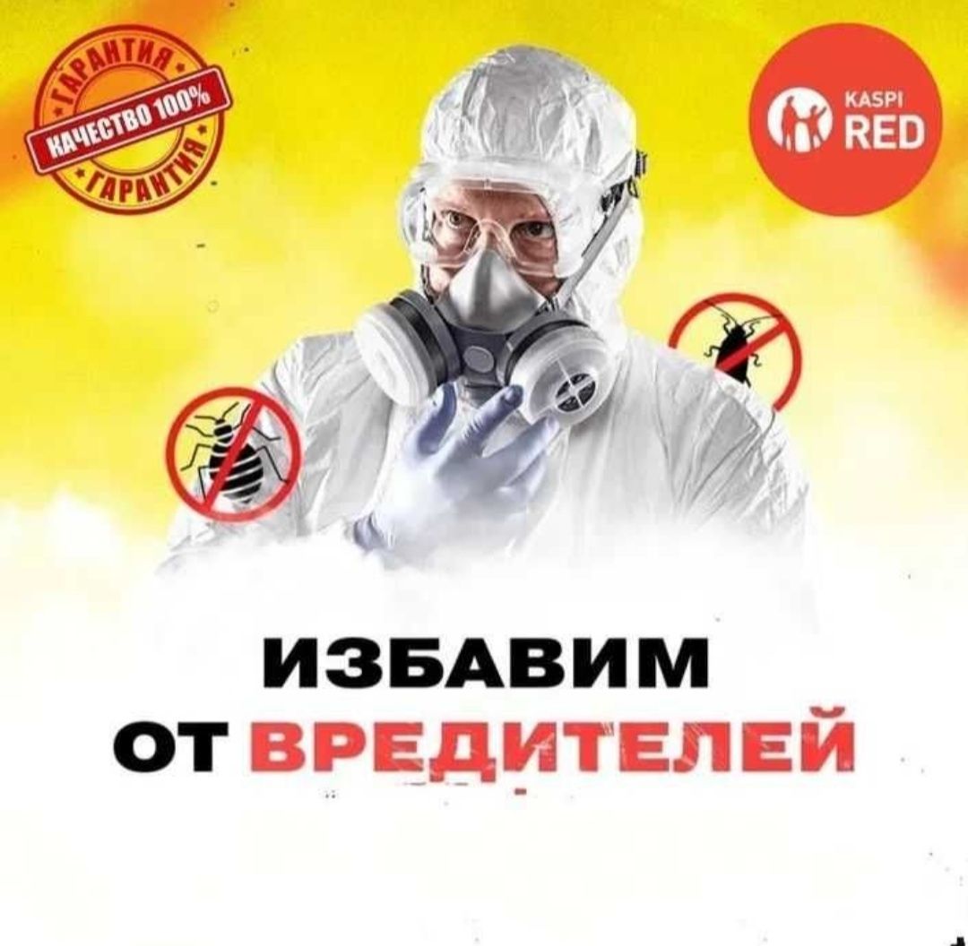 Дезинфекция 24/7 ГАРАНТИЯ 100%