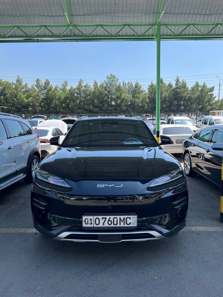 Byd Champion ideal