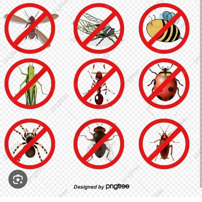 Dezinfeksiya Xizmati