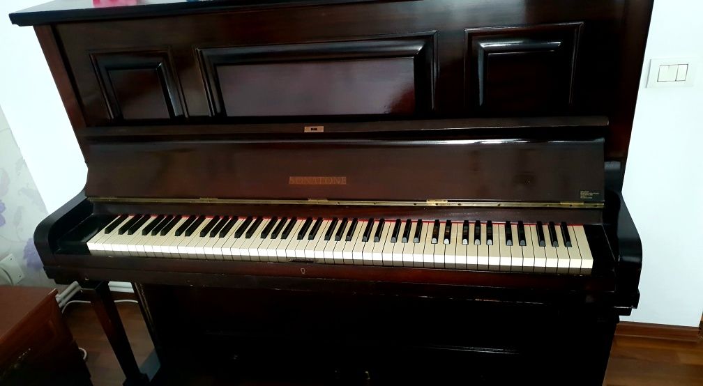 Pianină  Sonatone