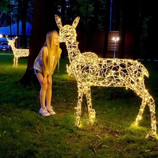 Ren LED – atmosfera de Crăciun pentru casa și afacerea dvs.