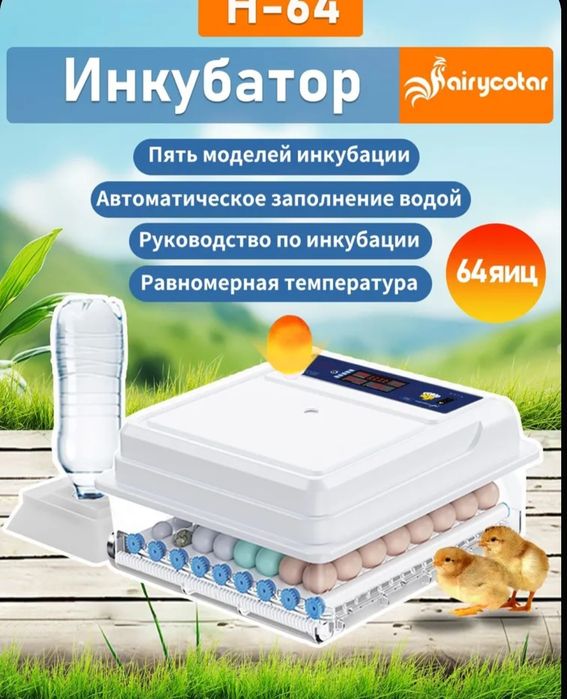 Инкубатор автоматический АКЦИЯ
