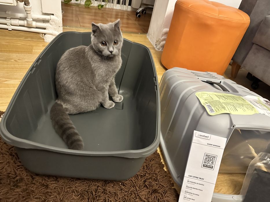 Litiera animalute cu filtru