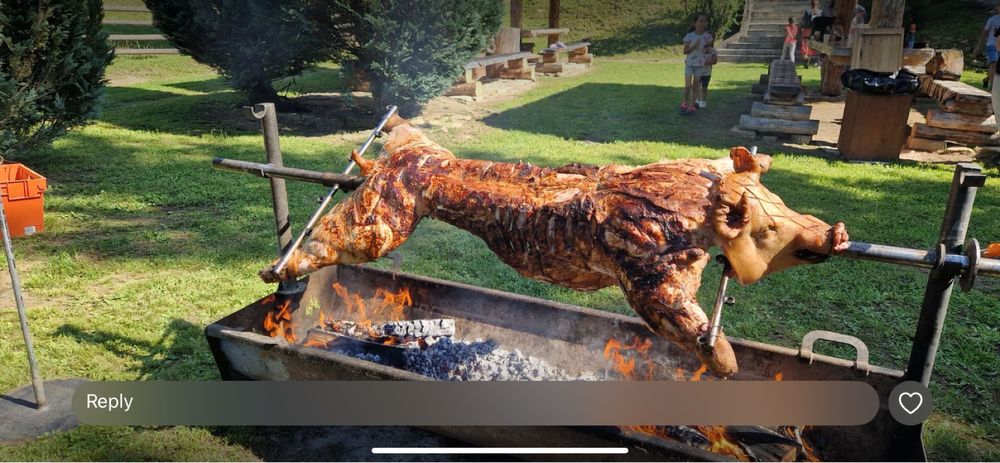Grătar rotund plita si blat de stejar