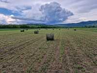 Vand baloți rotunzi de lucerna  fân si otavă,asigur transport