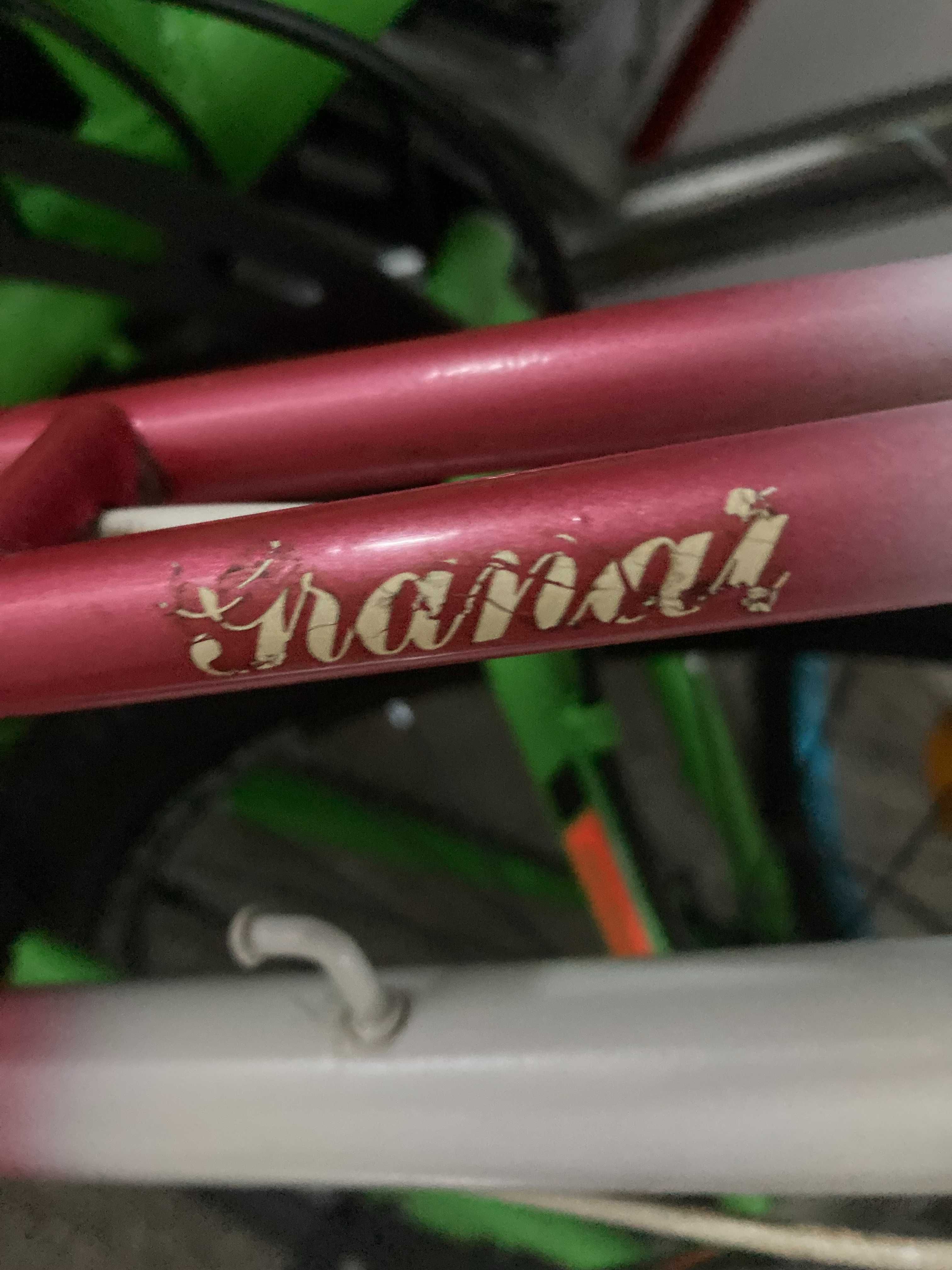 Bicicleta Pegasus pentru cunoscatori, mai veche, dar de calitate!