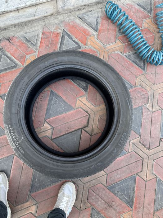 Balon BYD chempion zavadskoy