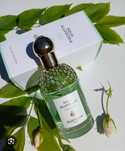 Французский парфюм Guerlain (Герлен) Rosa Verde, новинка 2025г