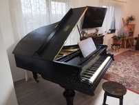 Pian cu coada vintage Bösendorfer restaurat