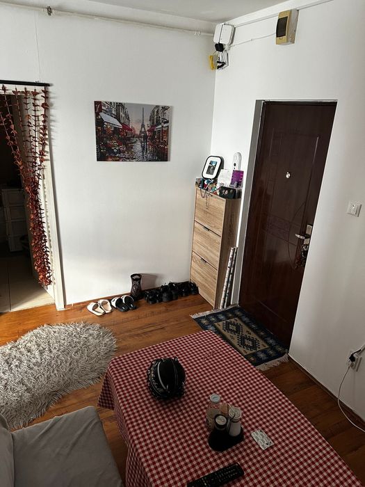 Apartament modern cu 1 cameră-Podgoria
