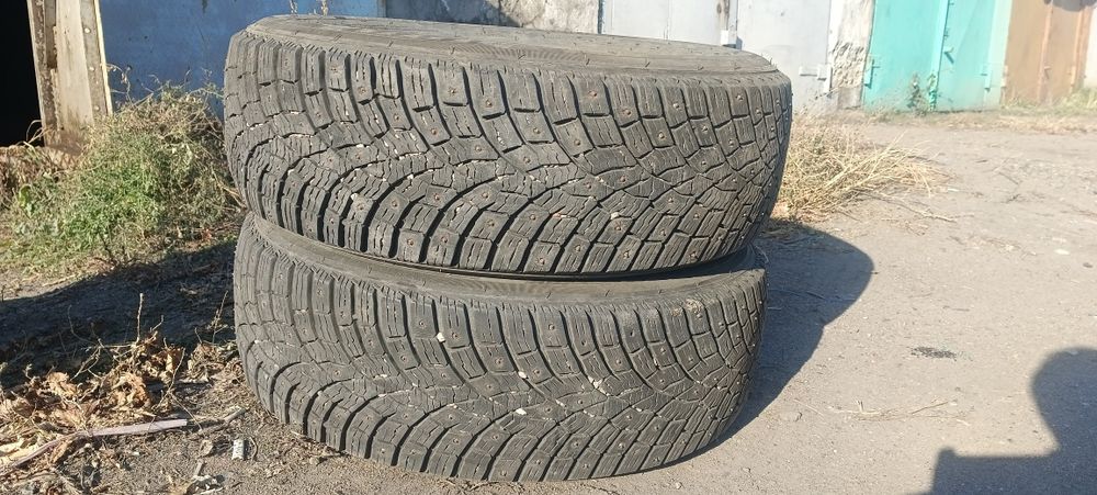 Шины зимние triangle