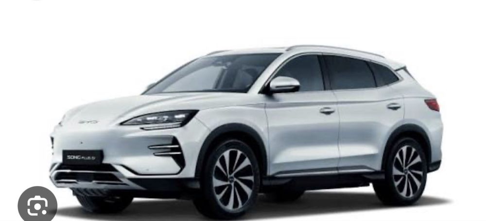 Byd chempion elektir