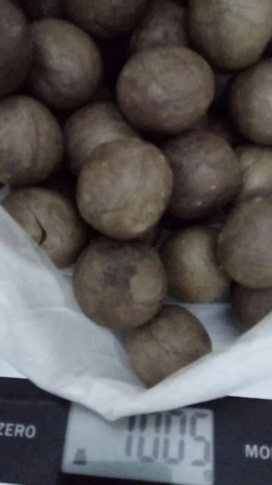 Прополис Алтайский