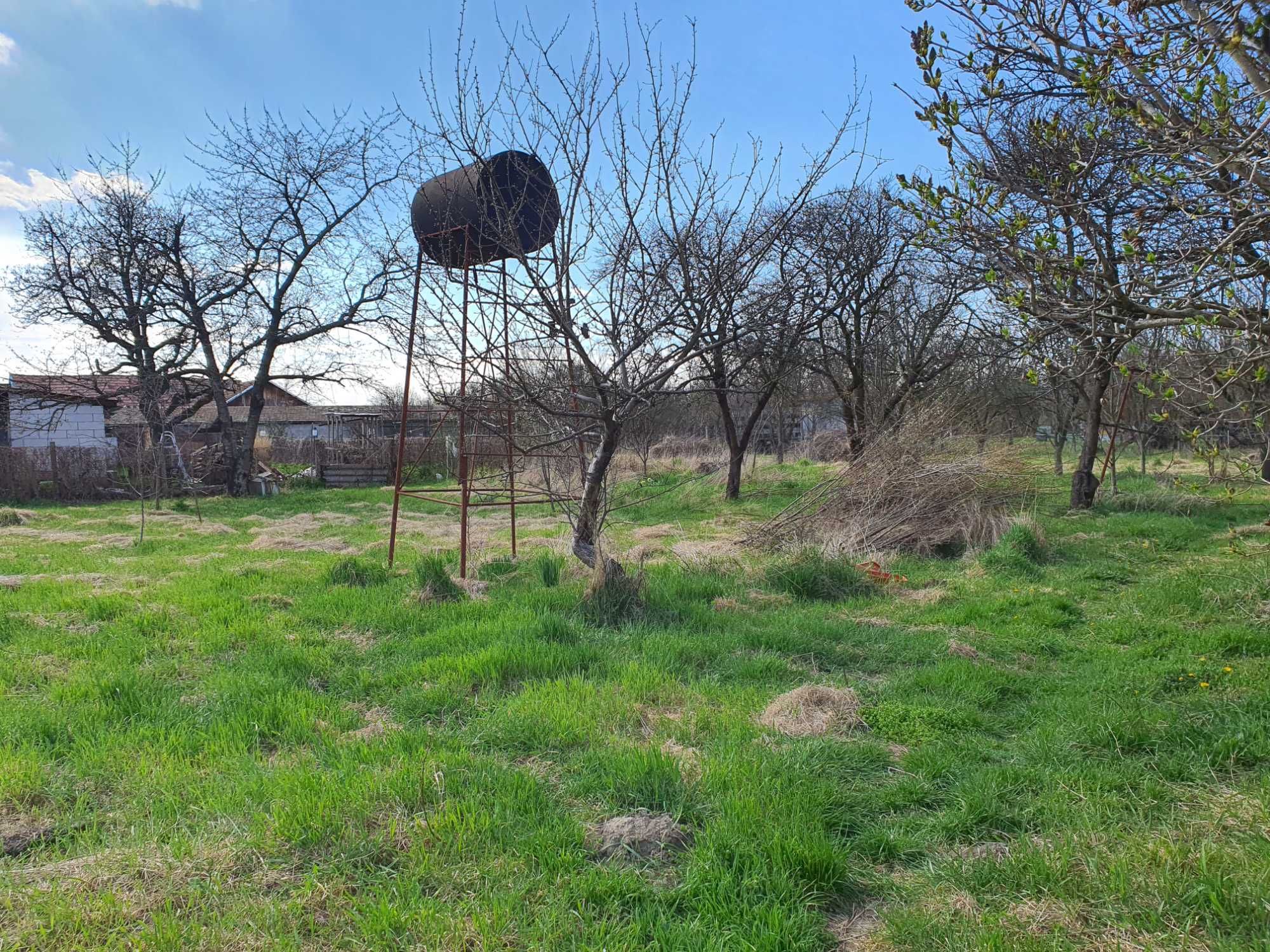 Casa, curte, gradina si livada in Barastii Hategului