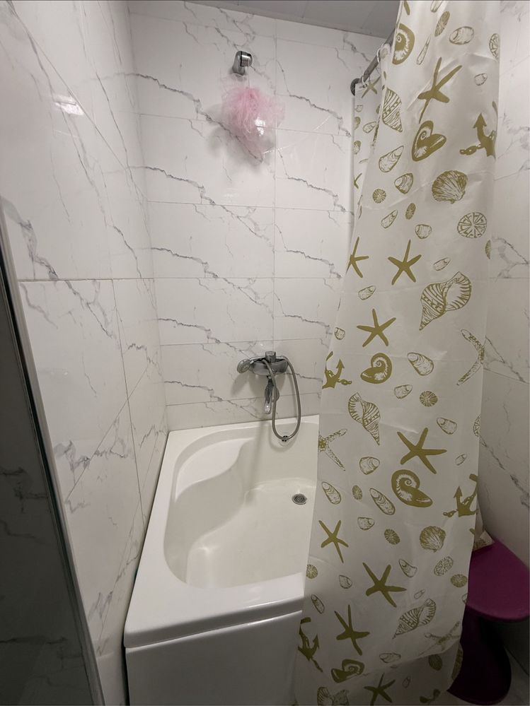 Сдается в аренду 1 комнатная 250$, на зиму есть украинка все удобства!