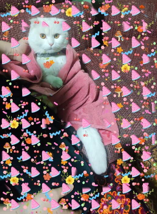 Vyazka,,skottish golf Britanskiy..