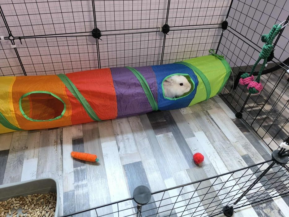 Заграждение - клетка за котки, кучета, зайци и други домашни любимци.