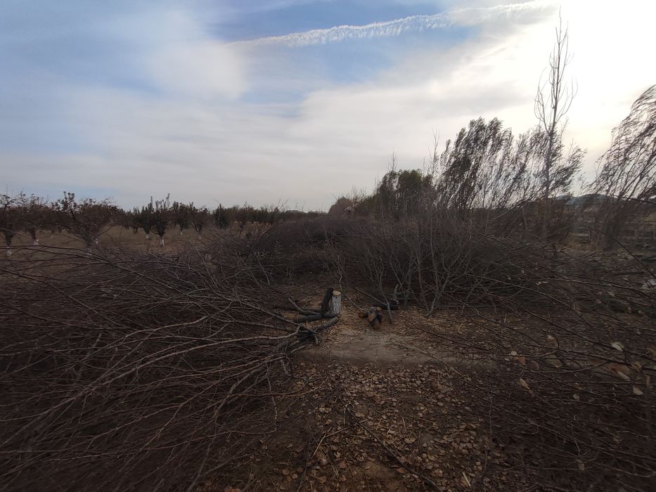 Ōtin sotiladi kelishilgan narxda