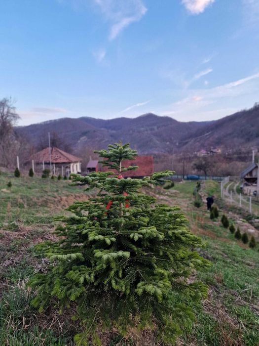 Casa de vacanta schimb