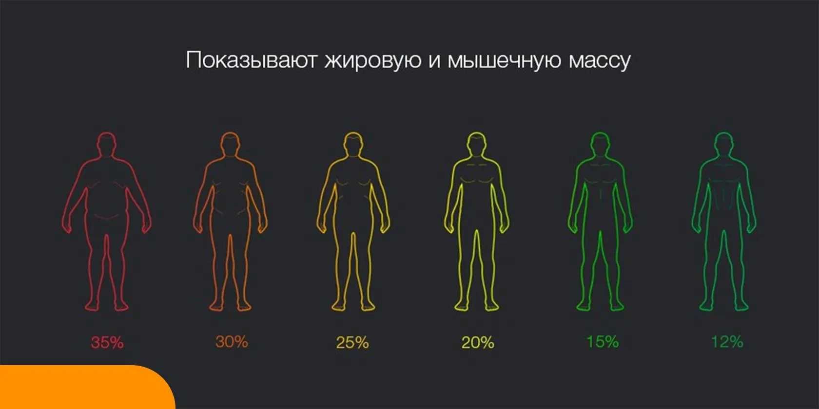 Новые весы Xiaomi Mi Body Composition Scale 2