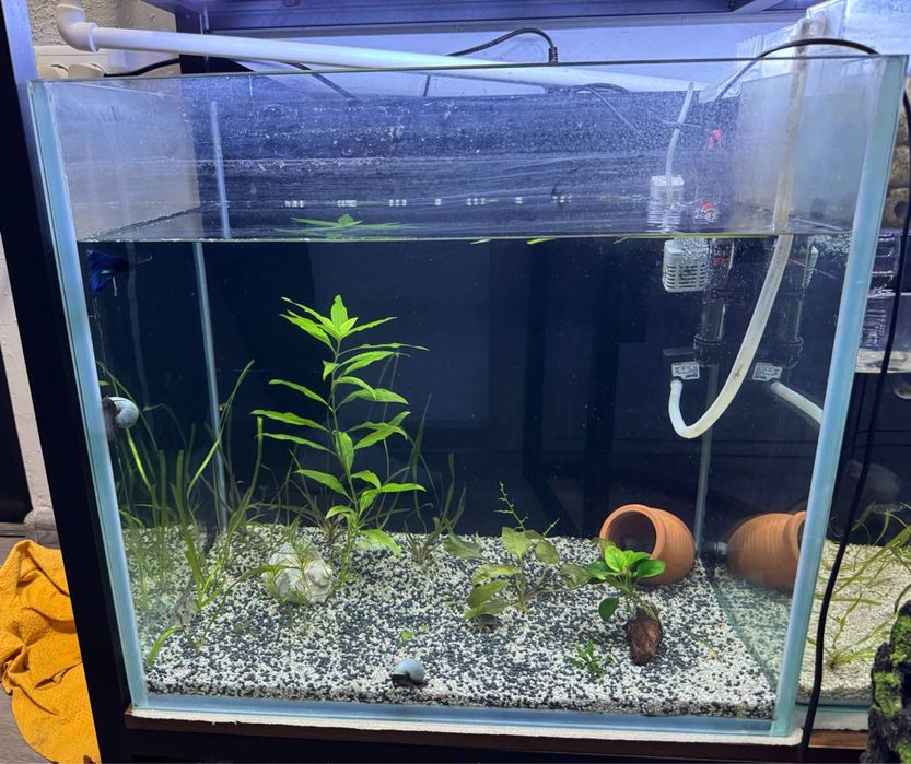 Продается аквариум 95л