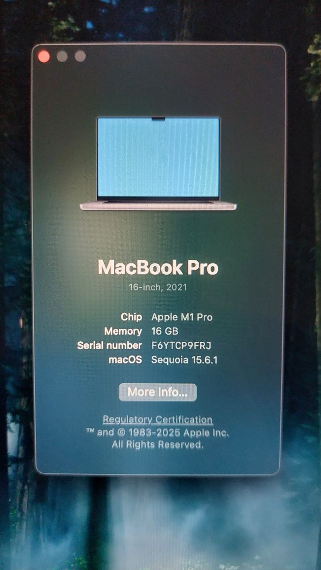 MacBook M1 Pro 16 инча