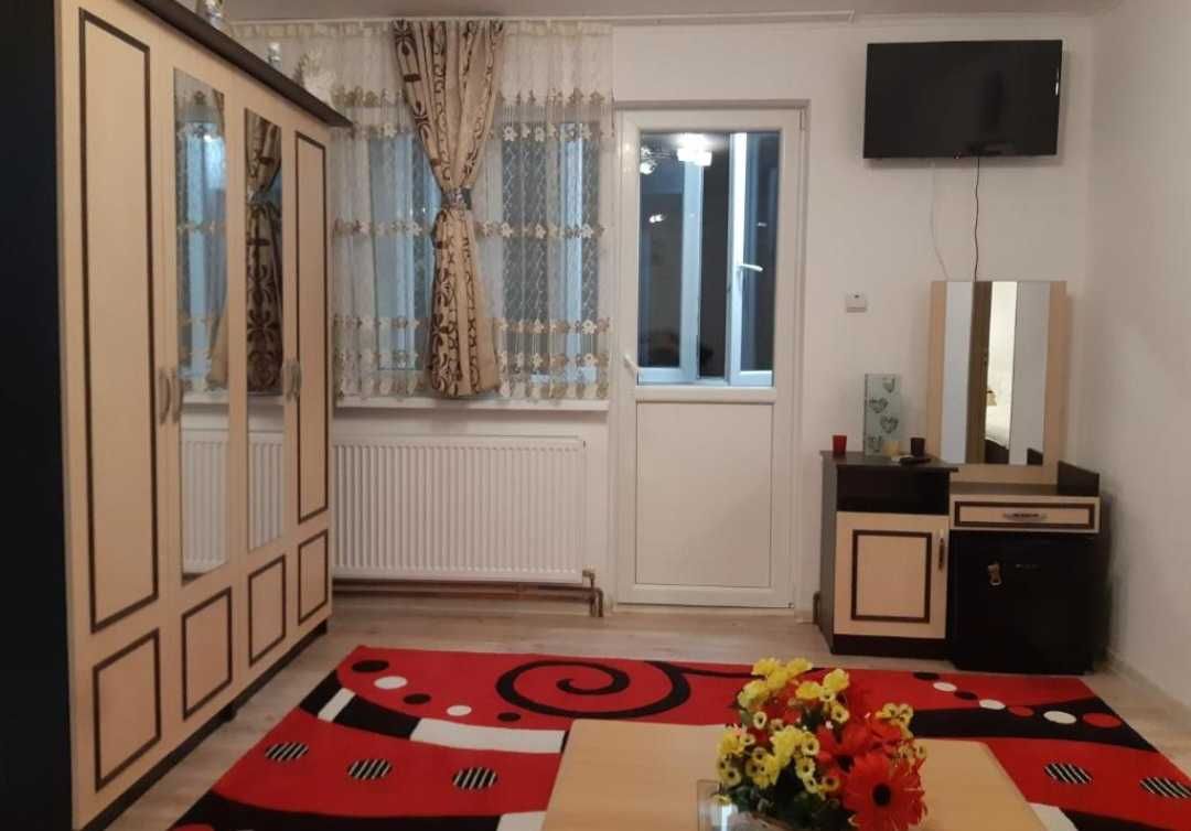 Apartament in Regim Hotelier Sighisoara