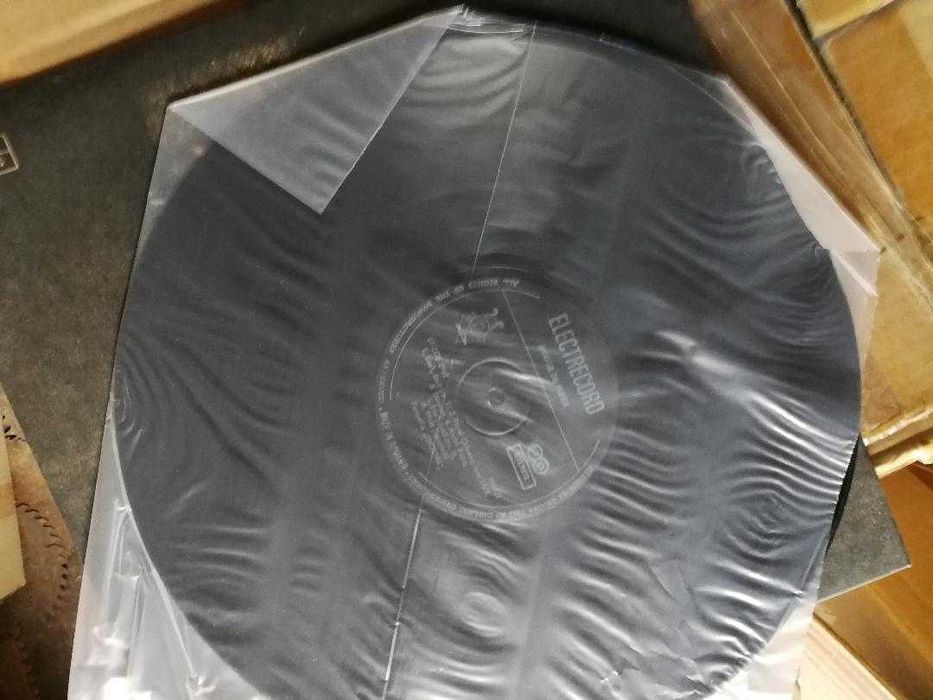 Mugur de fluier -Phoenix- disc vinil NOU !