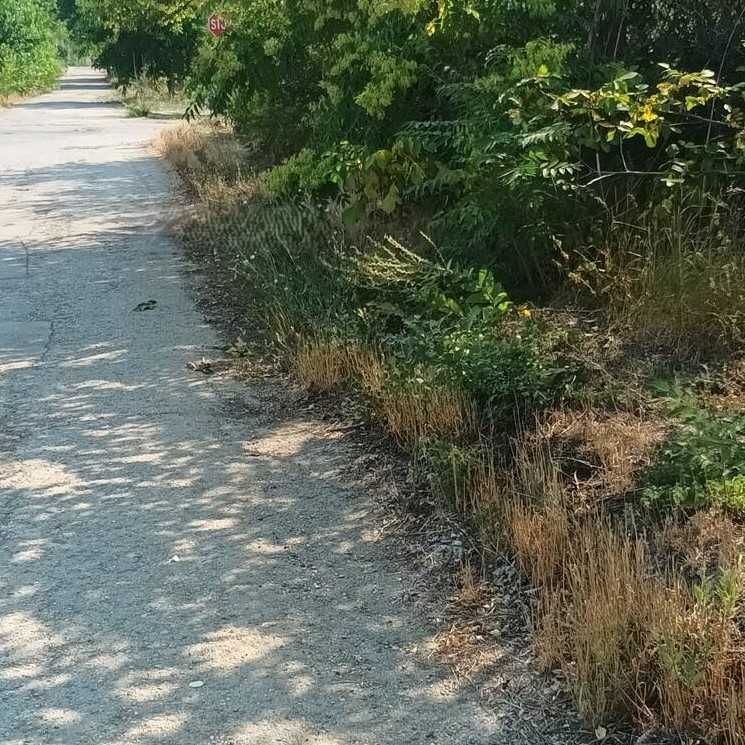 Стара къща в Дуранкулак