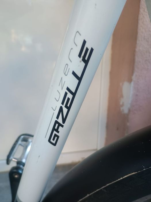 Bicicleta bărbătească