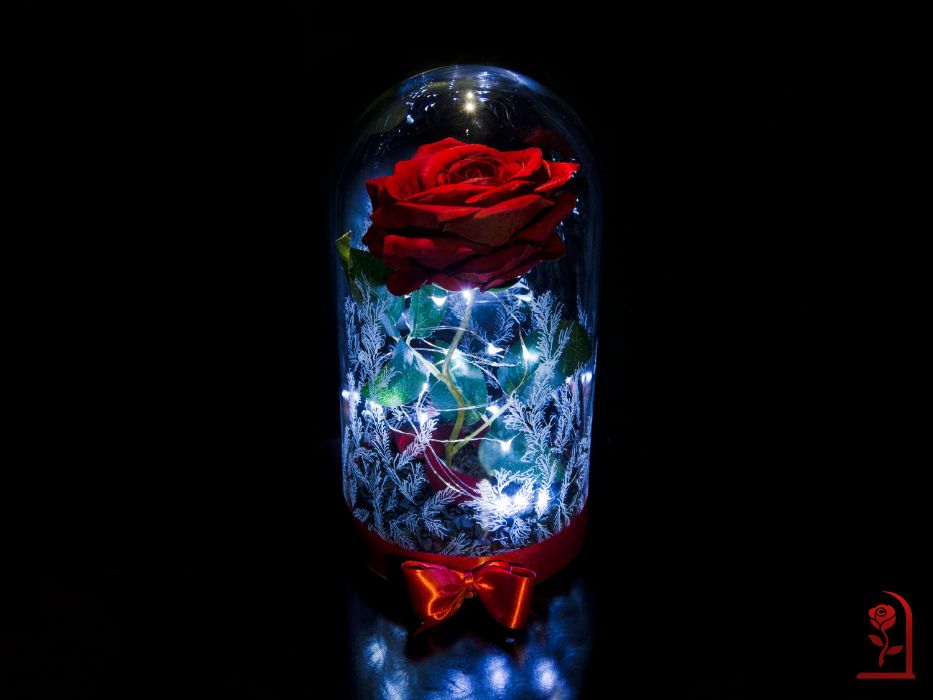 Вечна Роза в ГОЛЯМА Стъкленица с Лед Светлини / Подарък за Рожден Ден
