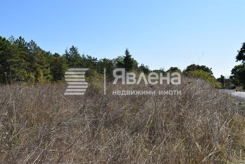 Продава се Парцел в Царево - 4000 кв.м за 15 €/кв.м - Снимка #2