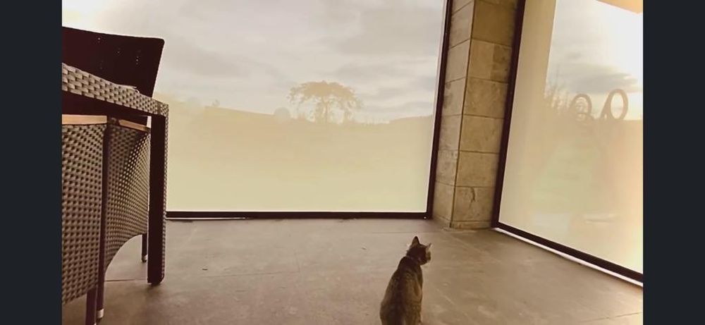 Rolete / rulouri textile screen de exterior (model ZIP)