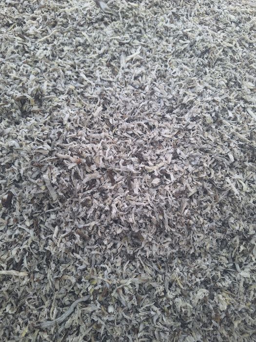 Borhot de sfeclă tăițai malata Asigur transport contracost  Cj MS