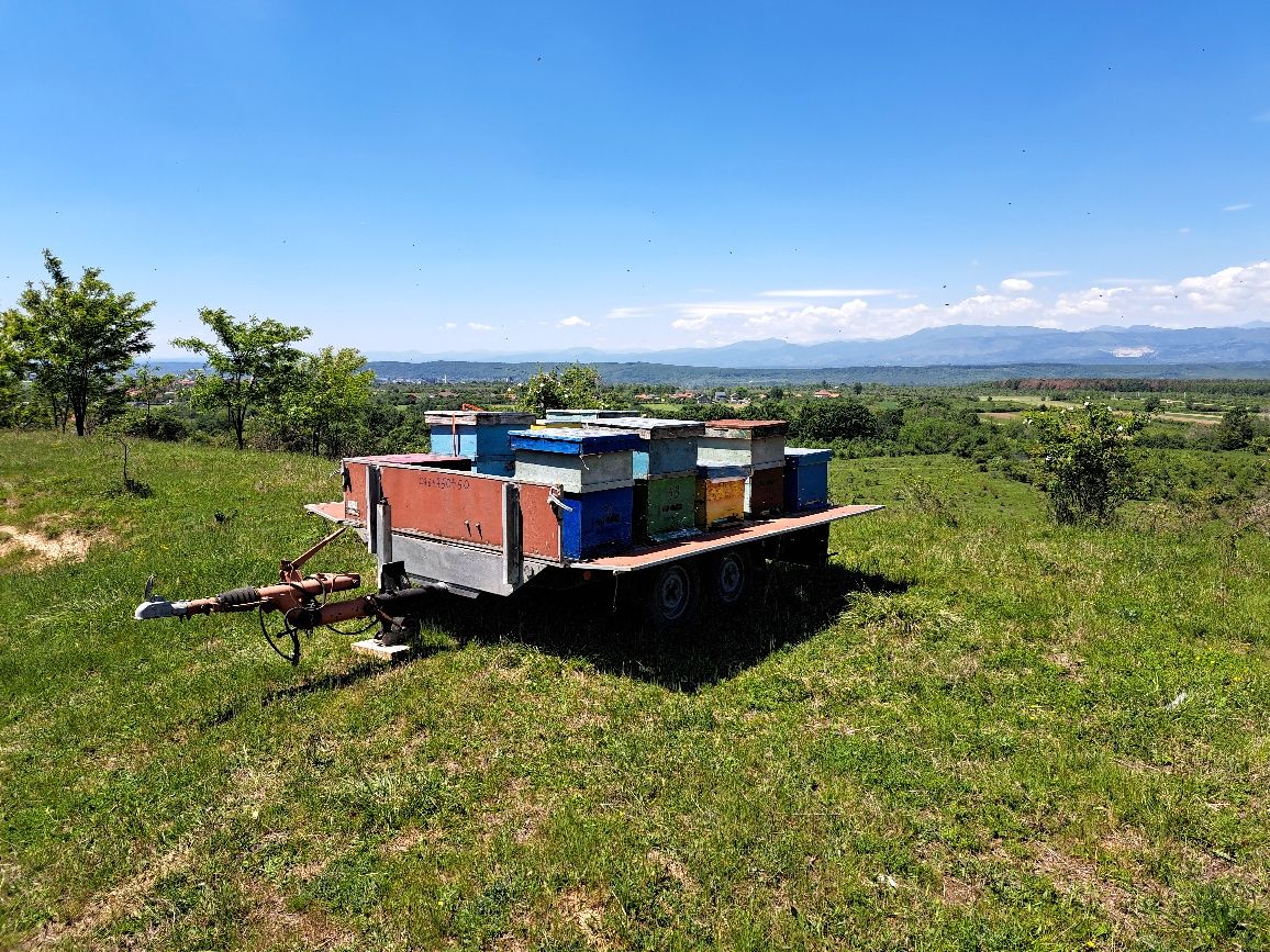 Remorca 2 axe westfalia