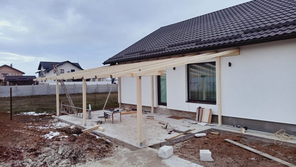 Profesionisti în construcții