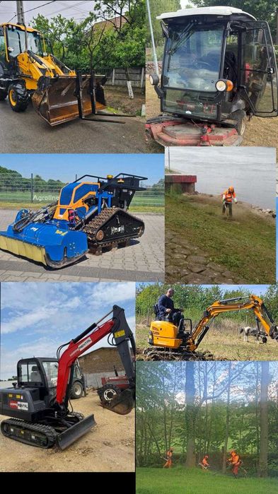 Oferim servici  Profesionale in mai multe domenii