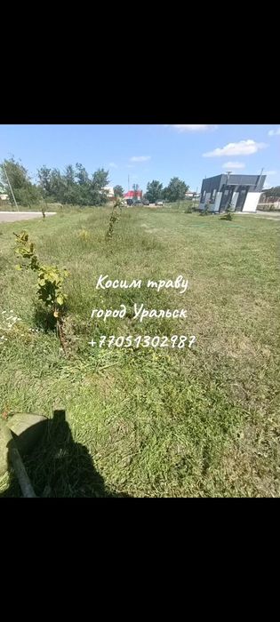 Покос травы триммером