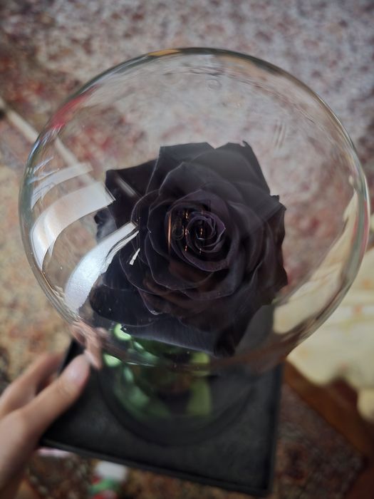 Вечна черна роза