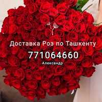 Доставка Роз по Ташкенту. На Розы Мега скидки. 101 роза от 650.000сум