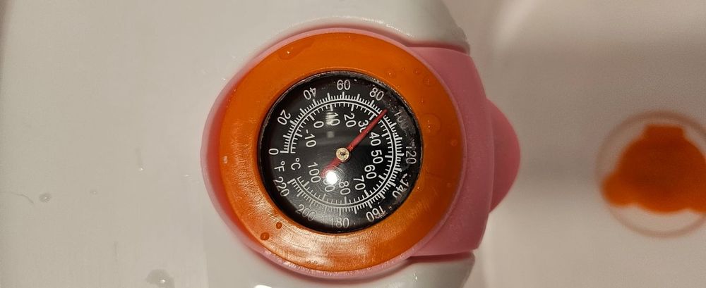 Cadita baie bebelusi cu reductor detasabil si termometru