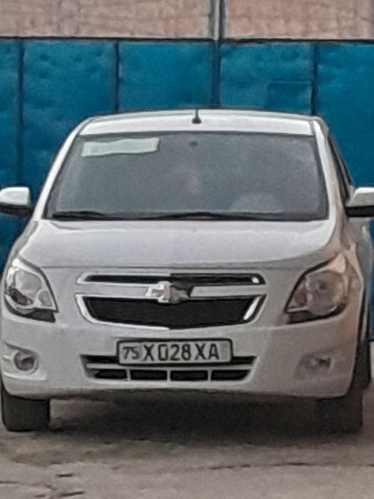 Кобалт сотилади нахтга