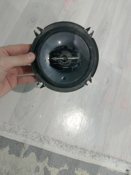 Сони калонка сатылды