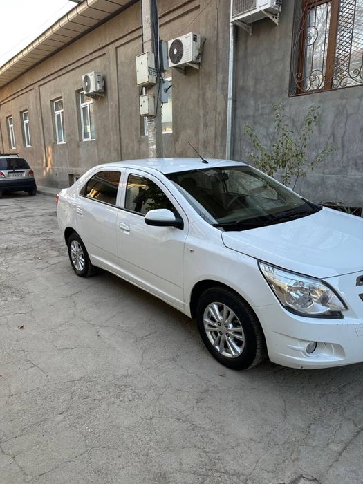 Cobalt At 4 poz Full 2024