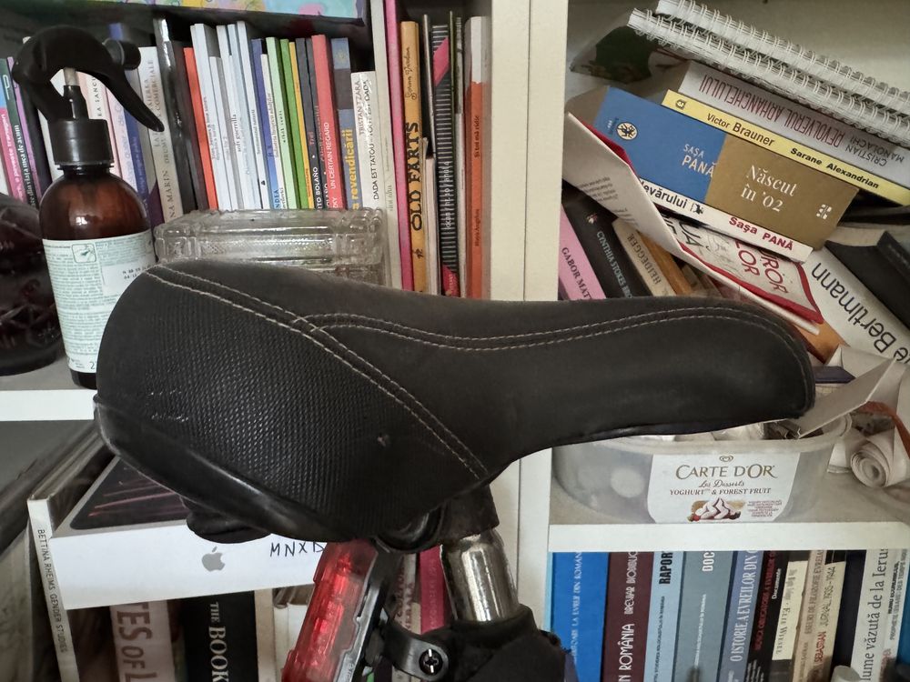Bicicletă Prophete 27’’