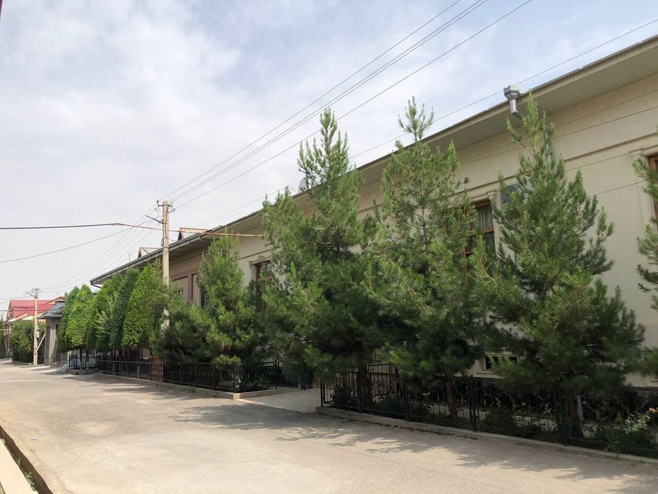 Yunsobod 10 kivartilda uchaska sotiladi 6sutu 270000$min