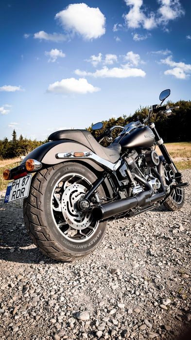 Harley-Davidson FLSB (Sport Glide) 2020 STAGE I