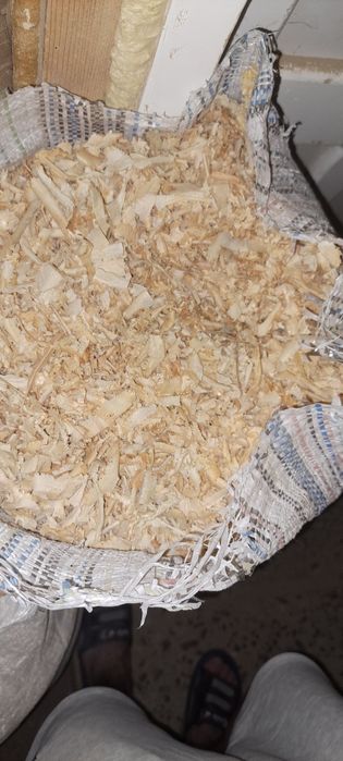 Talaj din Rășinoase